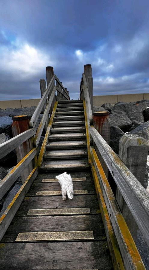 Camber Sands Seascape Horizon Decked Villa Dog Friendly Екстериор снимка